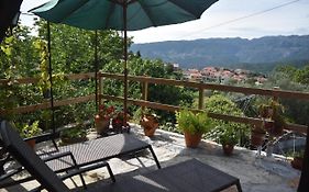 Casinha Estrela da Encosta - Gerês